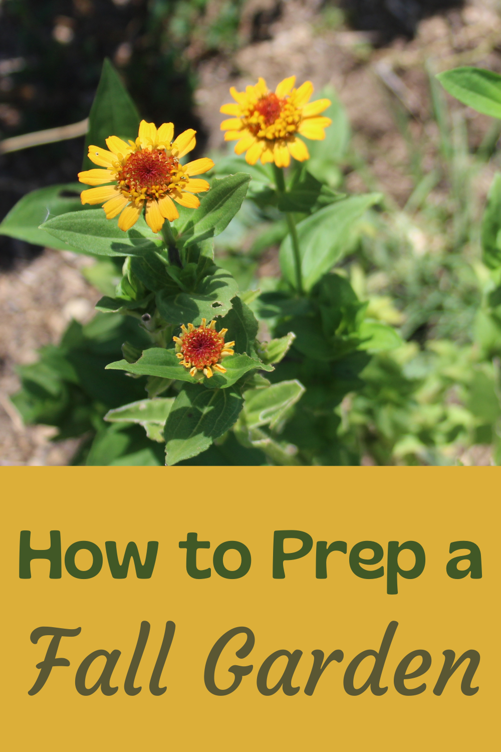 What You Need To Be Doing NOW For Your Fall Garden! - The Ranchers ...
