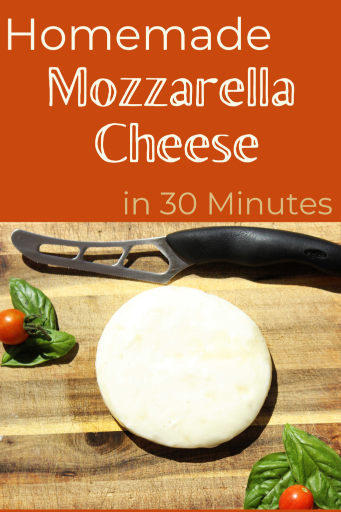 mozzarella cheese on a cutting board with basil and tomato, pinterest cover
